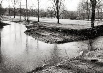 Isaac's Creek and Back Creek